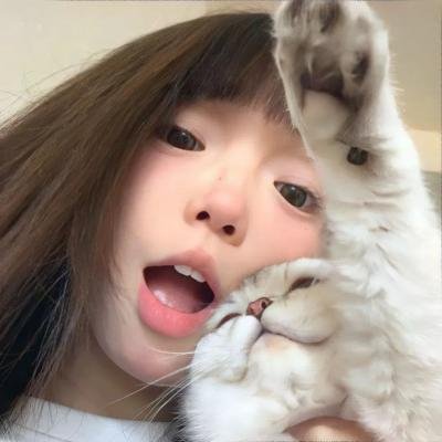 通告