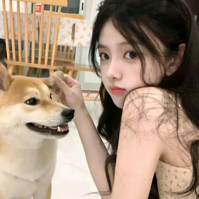 派特森与芬达猫4