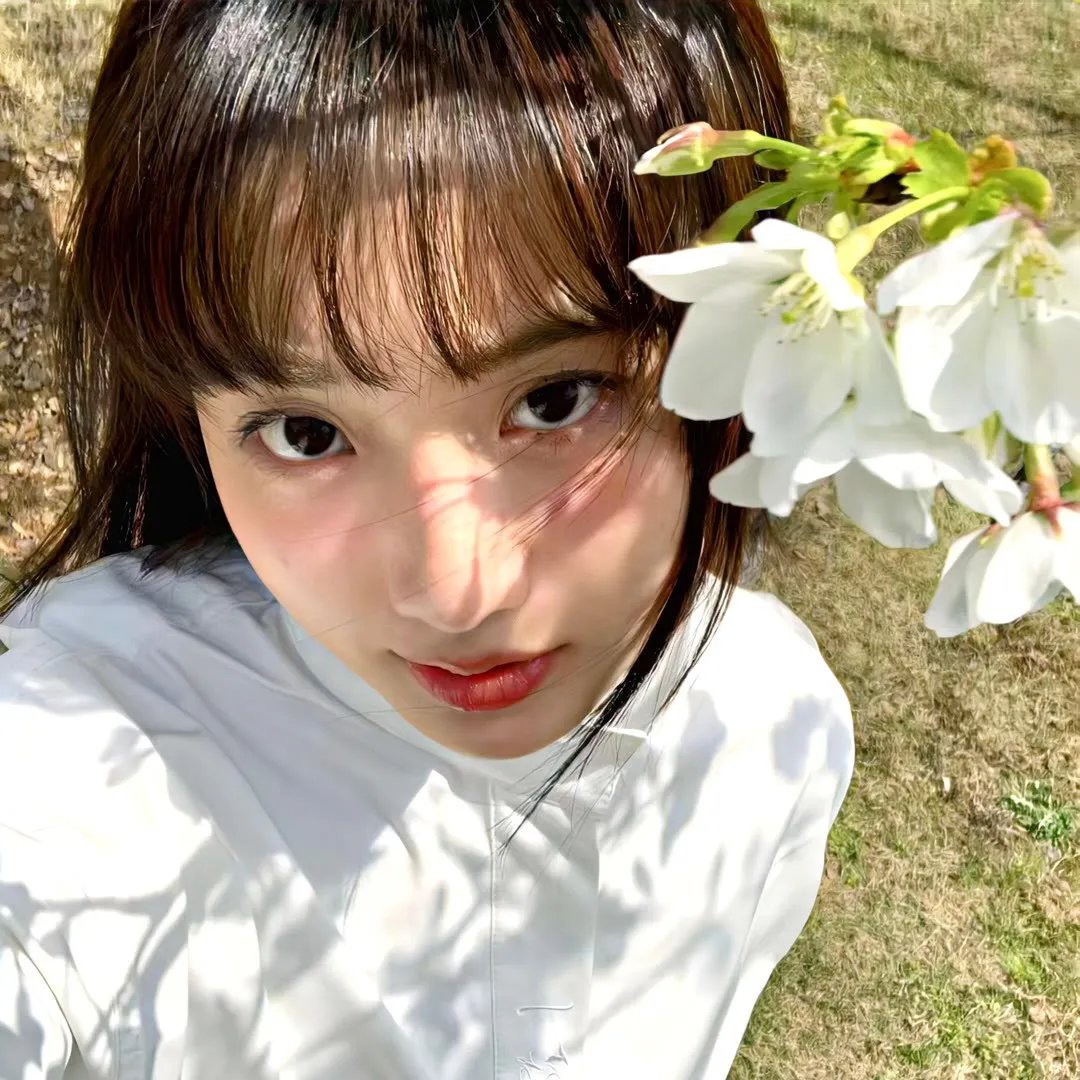 无可奈何我们的恋爱论